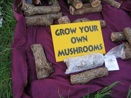 Mushroom Logs