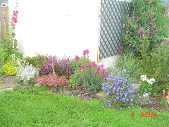 Garden view july 4,2005 002