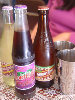 Spicy Adventure - Janani Indian Soft Drinks