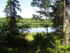 The Pond in Maine