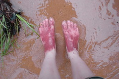 Red clay feet