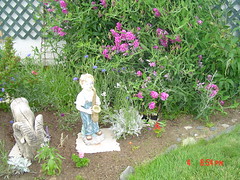 Garden view july 4,2005 011
