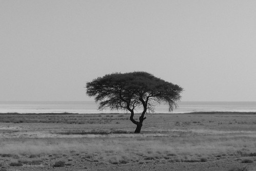 Namibia209