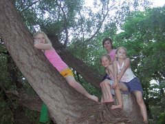 The girls in a tree