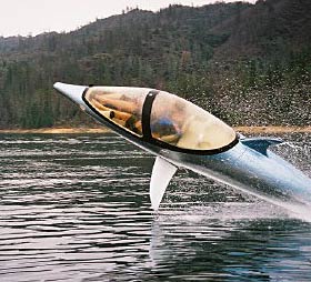 Dolphin watercraft